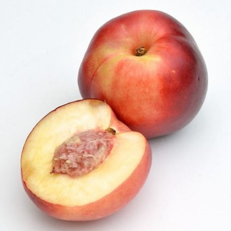 Pêcher et néctarinier